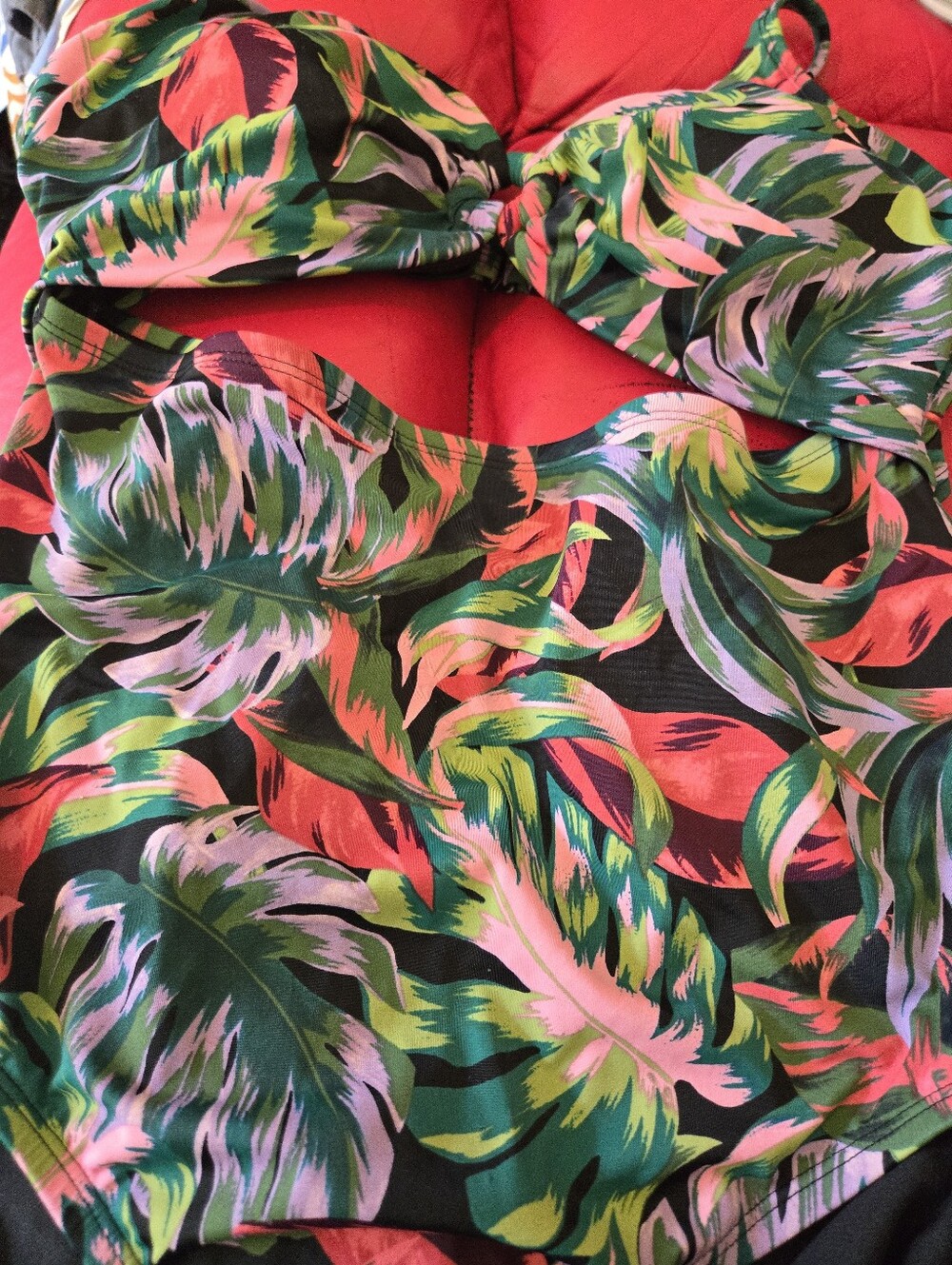 Woman Bathing Suit